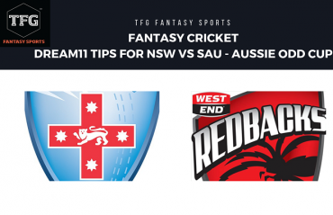 Fantasy Cricket - Dream 11 tips for South Australia vs NSW Blues -- Aussie ODD