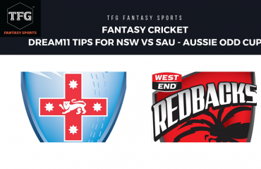 Fantasy Cricket: Dream11 tips in Hindi for South Australia vs NSW Blues -- Aussie ODD