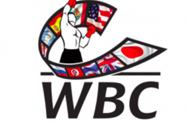 World Boxing Council endorses official Indian championship bout