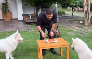 MS Dhoni shares birthday cake with his dogs, clip goes viral