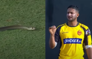 WATCH: Snake interrupts Lanka Premier League match, fourth umpire to the rescue